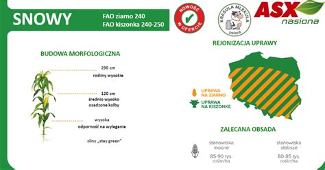 infografika przedstawiająca strukturę kosztów uprawy kukurydzy (materiał siewny, nawożenie, ochrona, siew, zbiór)