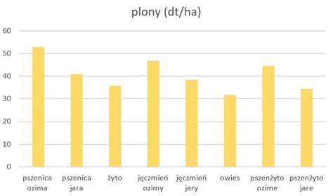 wykres przedstawiający średnie plony kukurydzy w Polsce na przestrzeni lat