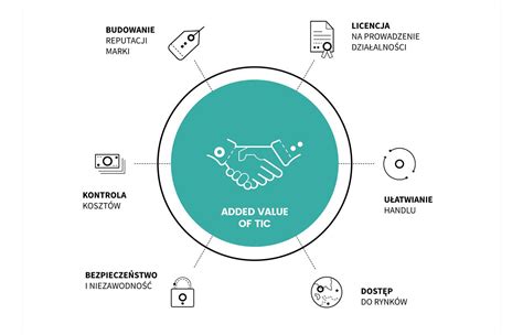 infografika przedstawiająca dostępne usługi dodatkowe oferowane przez dealerów