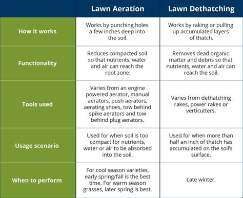 Comparison table: aeration vs. scarification