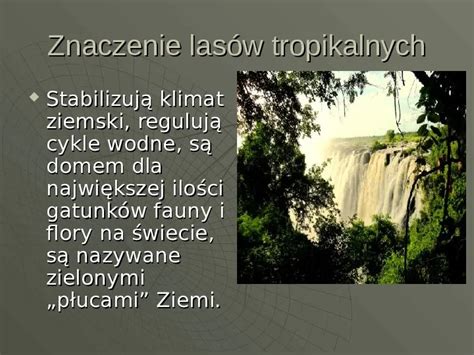 las z ciężkim terenem i gęstą roślinnością