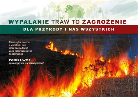 infografika o zagrożeniach i konsekwencjach wypalania traw i gałęzi