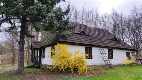 zdjęcie kolekcji ciągników SAM w Muzeum Wsi Radomskiej