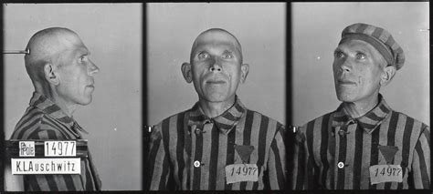Fotografia obozowa Ignacego Spętanego wykonana w Auschwitz, lub lista nowo przybyłych do Auschwitz z podkreślonym nazwiskiem Ignacego