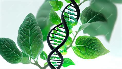 Tematyczne zdjęcie miniciągnika SAM