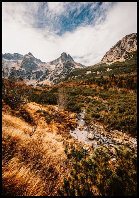 zdjęcie Tatry 148 w barwach OSP