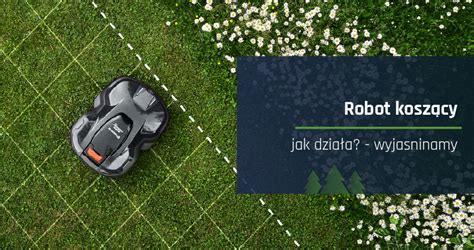 Robot koszący skanujący trawnik i omijający przeszkody
