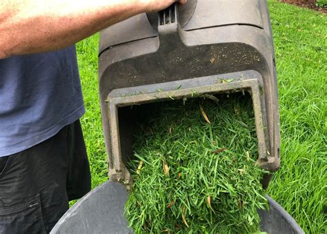 Thematic photo of a person emptying a full lawnmower bag