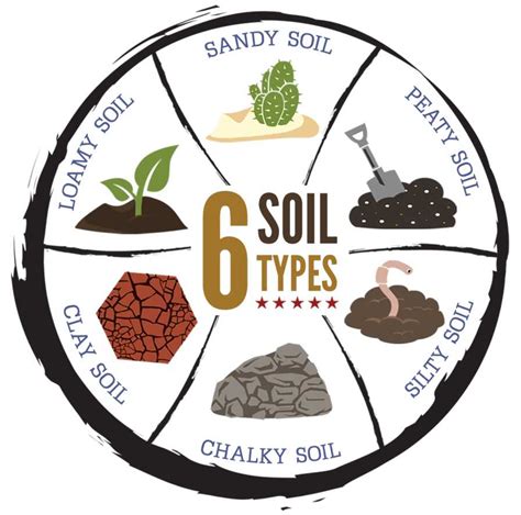 Infographic comparing different types of soil and suitable tiller types
