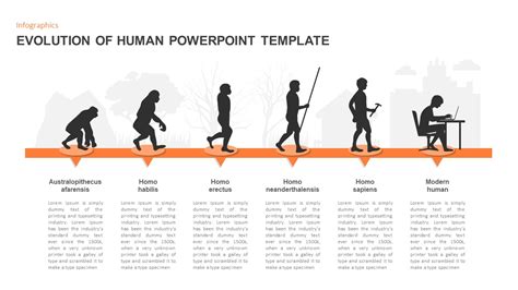 Infographic showing the evolution of the WUKO term and its origin from a Polish company.
