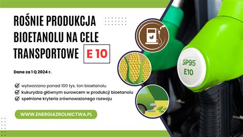 infografika: porównanie składu E10 i E5, z wyróżnieniem zawartości bioetanolu