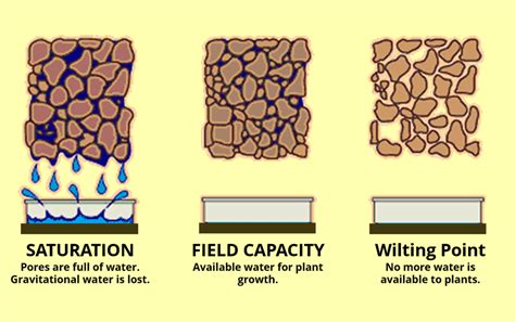 Infographic showing ideal soil moisture for tilling (e.g., crumbly texture)