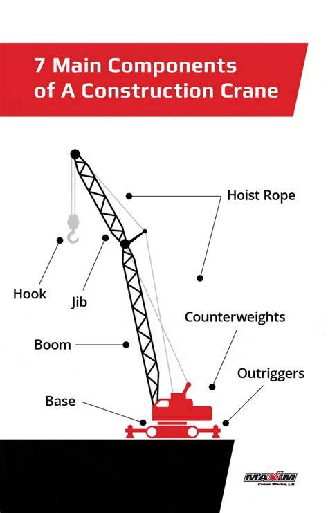 Infographic illustrating the main components of a tower crane (column, boom, counterweight, hook)