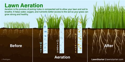 Infographic showing the benefits of using a tiller (soil aeration, weed removal, nutrient mixing)