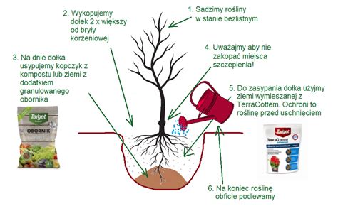 zdjęcie świdra ręcznego w użyciu (np. przy sadzeniu drzewka lub montażu słupka)