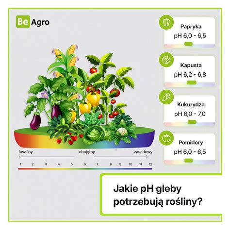 Infografika przedstawiająca optymalne pH i typy gleb dla uprawy gorczycy