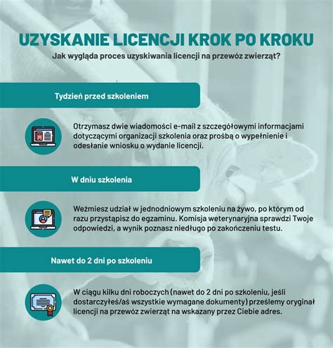 infografika przedstawiająca kroki do uzyskania zwrotu eurowiniety
