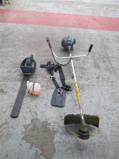 Thematic photo of various MacAllister garden tools from Castorama, like lawnmowers and trimmers, arranged neatly.