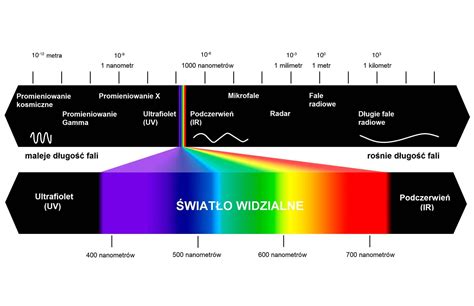 Infografika przedstawiająca rozkład natężenia światła w różnych strefach magazynu
