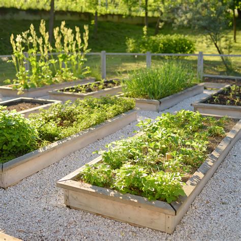 Thematic photo of a well-cultivated small garden bed