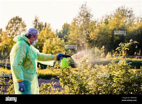 Thematic photo of a person using a hand sprayer in a garden