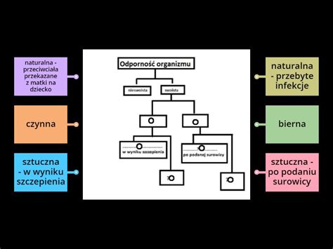 Schemat różnych typów spryskiwaczy samochodowych