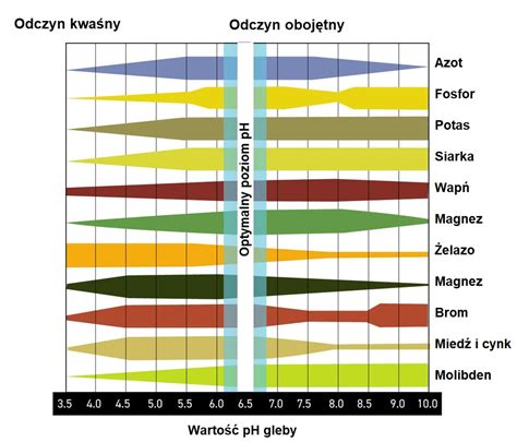 Schemat przedstawiający proces spulchniania gleby kultywatorem i dostępu składników odżywczych do korzeni