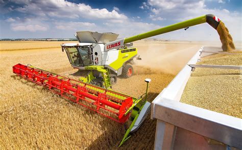 Zbożowy kombajn Claas w akcji na polu