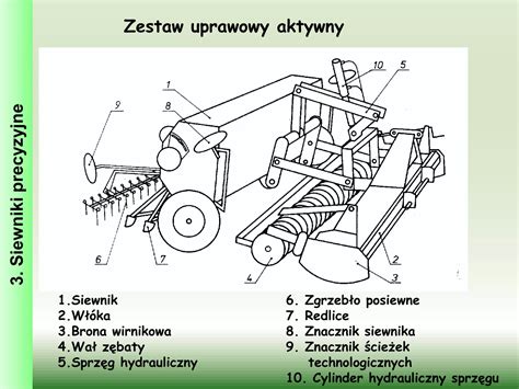 schemat przedstawiający różne metody siewu gryki: rzutowy i siewnikiem