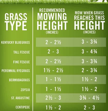 Infographic showing the different cutting heights and their effects on the lawn