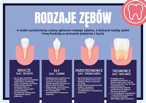 Różne rodzaje zębów roboczych w bronach aktywnych