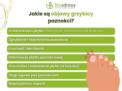 Zdjęcie: Objawy zaniku stożka wzrostu na kalafiorze