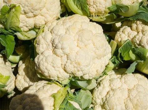 Zdjęcie: Kalafior z naturalnie kryjącymi liśćmi