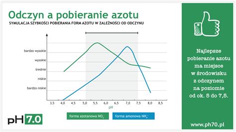 Infografika porównująca skuteczność i straty azotu przy aplikacji naglebowej i doglebowej gnojowicy