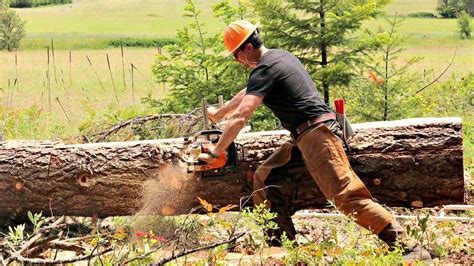 Thematic photo of an electric chainsaw in use