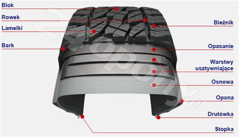 Infografika przedstawiająca budowę bieżnika opony z zaznaczeniem rowków i lameli