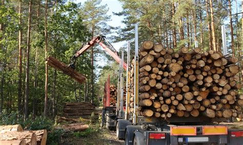 mini ciągnik z hydrauliczną wciągarką w akcji, zrywka drewna
