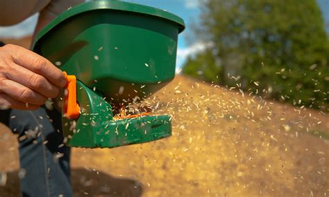 Thematic photo of a person using a seed spreader on a lawn