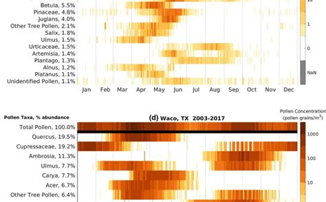 Detailed pollen calendar infographic for Poland