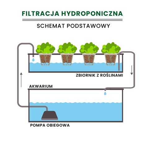 Porównanie konstrukcji filtra odśrodkowego i wkładu pełnoprzepływowego