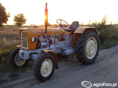Zdjęcie Ursus C-330 w polu