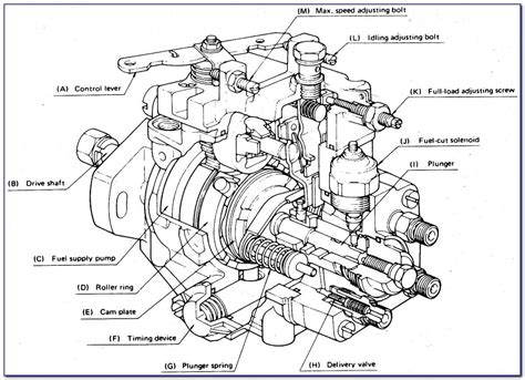 Technical diagram of a rotary injection pump