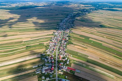 Panoramiczne zdjęcie czystej ulicy w Raciborzu, z widocznymi chodnikami i zadbaną zielenią miejską