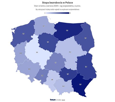 Zestawienie danych rynkowych i wykresów trendów sprzedaży równiarek w Polsce