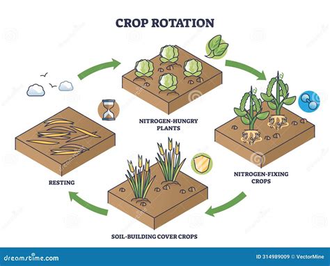 Infographic showing the internal mechanism of a glebogryzarka with arrows indicating rotation and soil movement