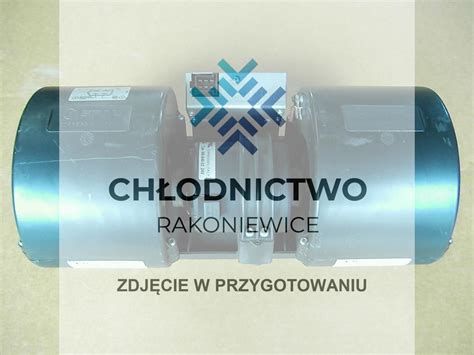 Zdjęcie gaźnika z zaznaczonym regulatorem obrotów
