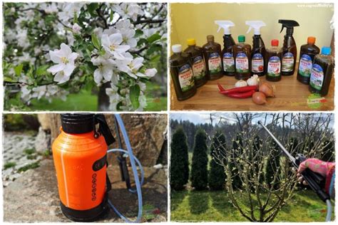 Ekologiczne opryski na drzewach owocowych