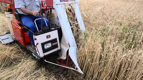 Ilustracja przedstawiająca mini kombajn zbożowy Yanmar w akcji na małym polu uprawnym