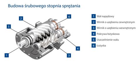 Schemat budowy sprężarki śrubowej