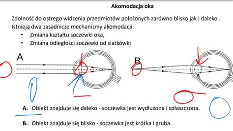 Zwolnica w przekroju z zaznaczonymi elementami wewnętrznymi